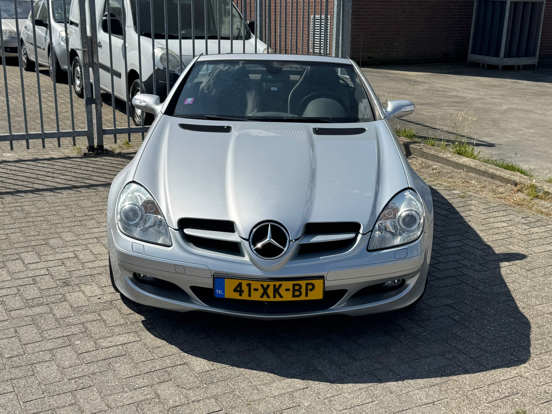 44160909-1.jpg