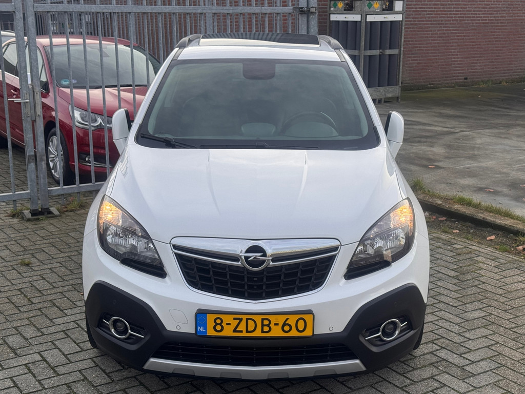 49884935-1.jpg