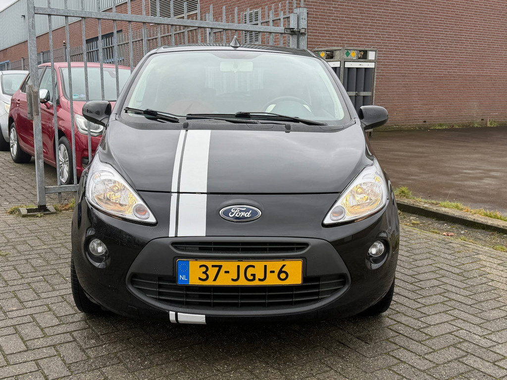 50576891-1.jpg