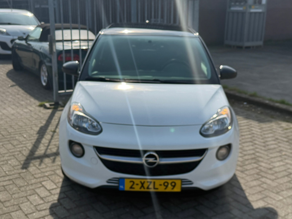 52208151-1.jpg