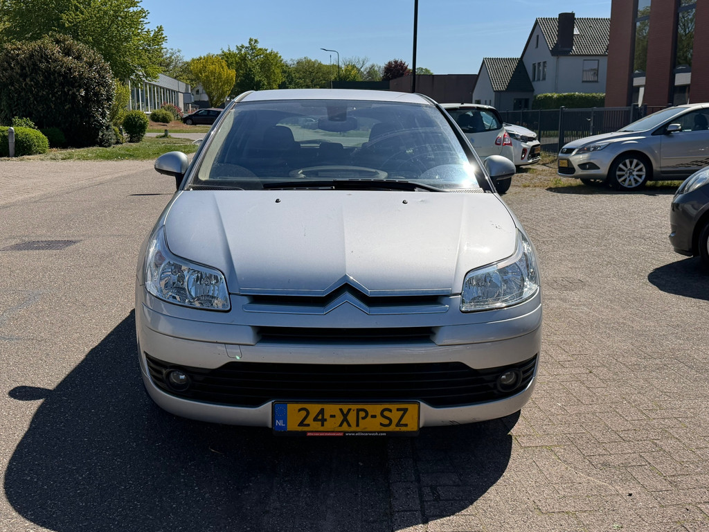 53019412-1.jpg