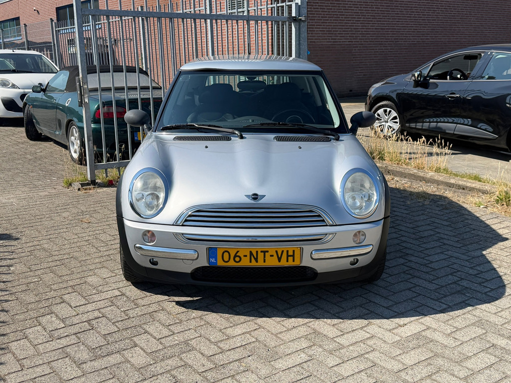 54911464-1.jpg