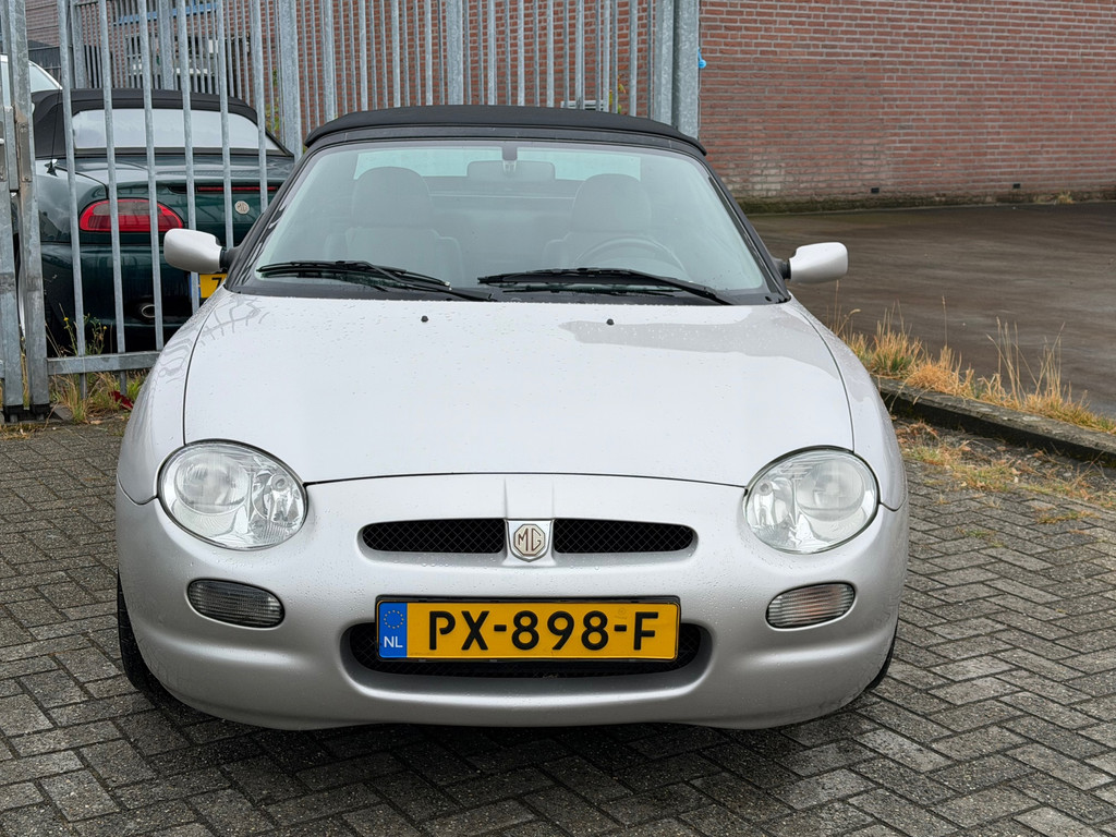 55985496-1.jpg